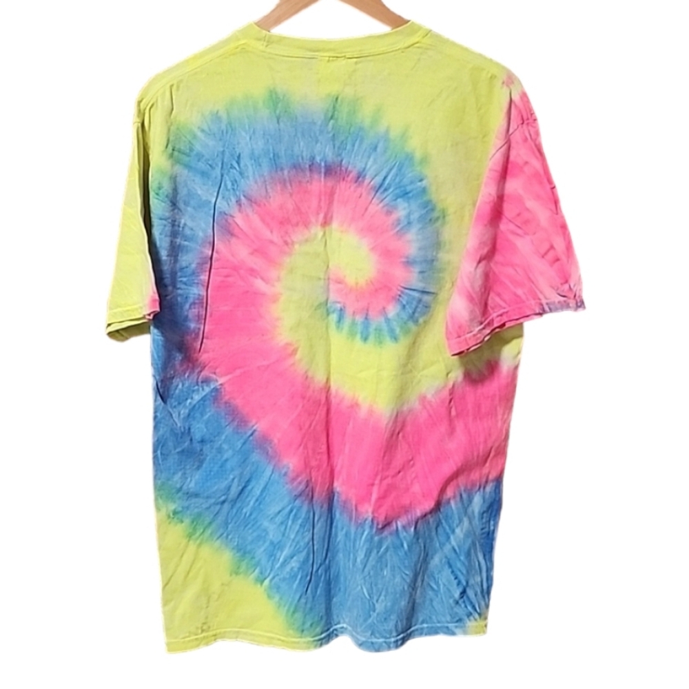 WE THE PEOPLE MEANS EVERYONE Spiral Tie Dye Short Sleeve Tee Mens L Pride LGBTQ - Picture 3 of 8